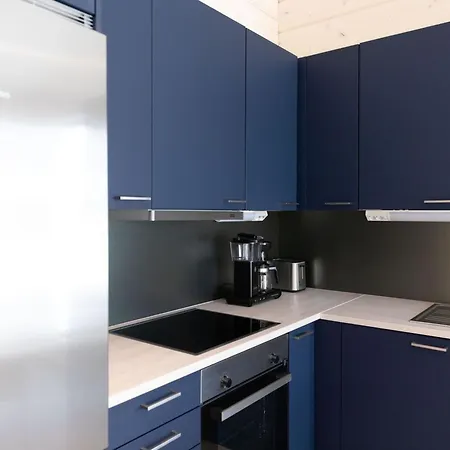 Saana 4 By Interhome